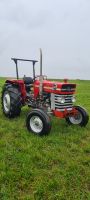 Massey Ferguson 165 im sehr gepflegten Orginalzustand Bayern - Üchtelhausen Vorschau