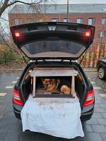 Hochwertige Alu Hundebox Autobox mittelgroße Hunde Wandsbek - Hamburg Jenfeld Vorschau