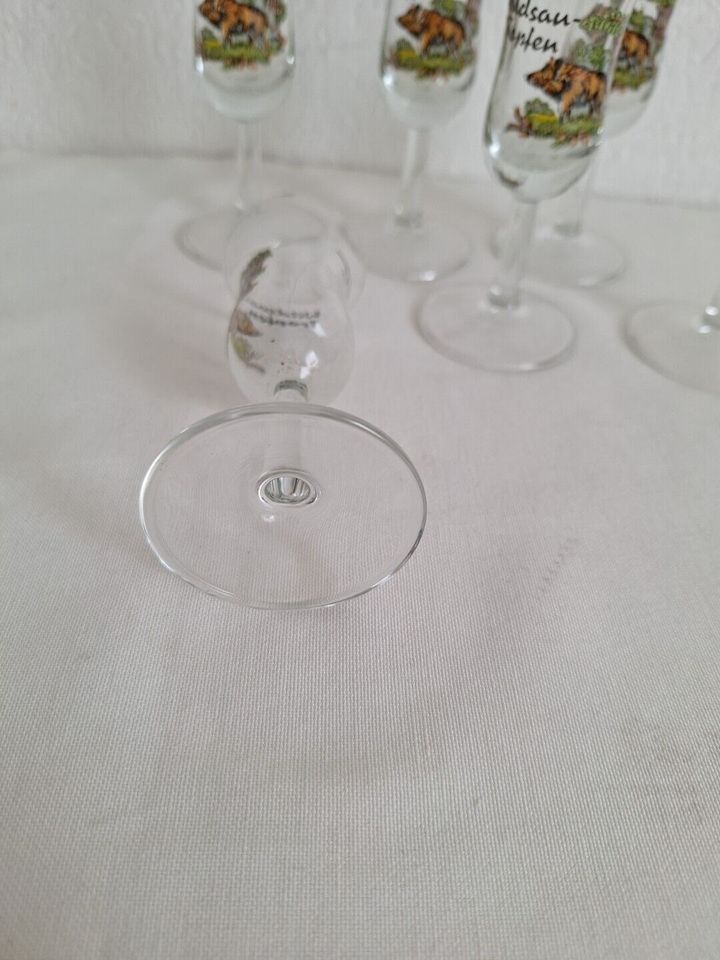 Wildsautropfen 6 Gläser mit Eichstrich 2cl bö aus den 70er in Essen