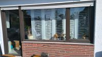Fenster doppelt Verglasung Tür WERU Firma zu verschenken Baden-Württemberg - Schorndorf Vorschau