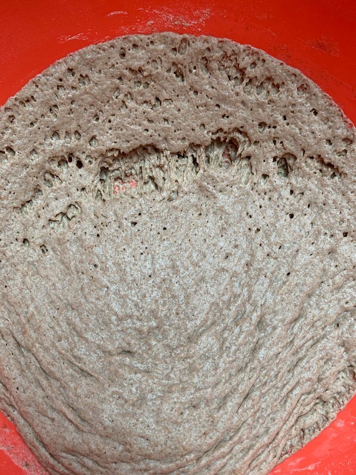 Sauerteig Starter Anstellgut Roggensauerteig Brot backen in Grassau