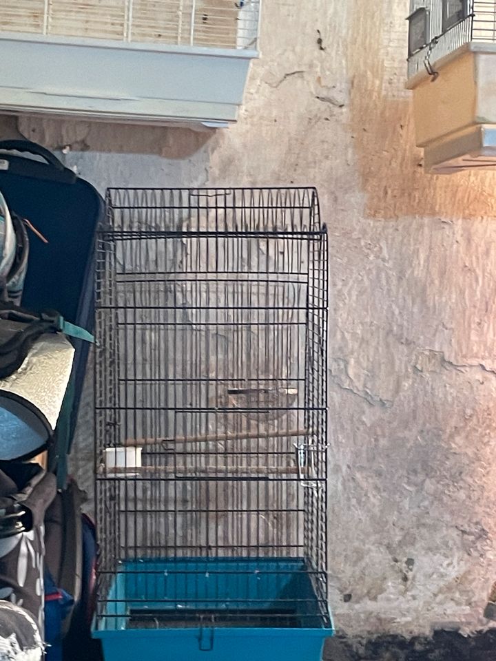 Vogel Käfig in Tornesch