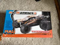 mali big hammer 4WD rc auto buggy TOP rennauto Nordrhein-Westfalen - Reken Vorschau