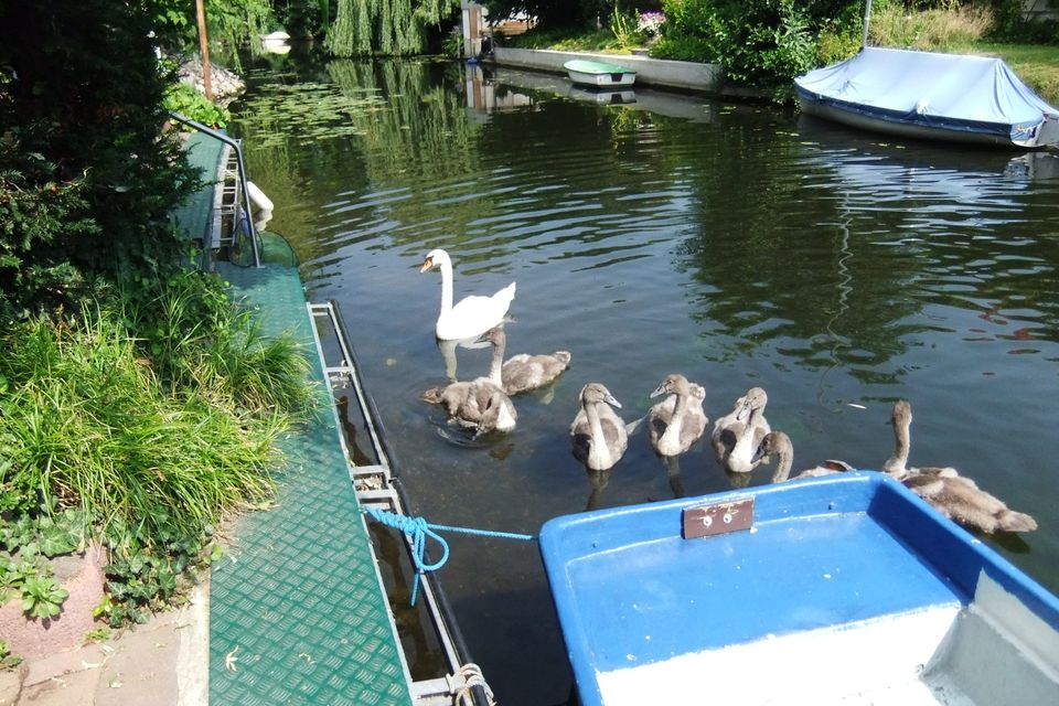 Angelurlaub  Havelland Feriengrundstück liegt direkt an der Havel in Ketzin/Havel