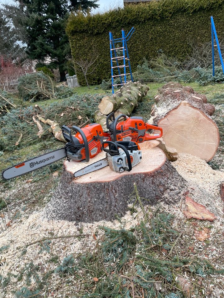 Gebirgsgrün- Gartenbau, Baumfällung, Grünpflege, Hausmeister in Sehmatal-Sehma