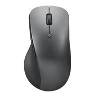 Lenovo Professional Bluetooth-Maus, wiederaufladbar Garz/Rügen - Zudar Vorschau