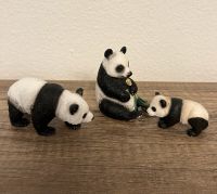 Schleich Tiere 3 Panda mit Bambus Jungtier Baby Familie Nordrhein-Westfalen - Rahden Vorschau