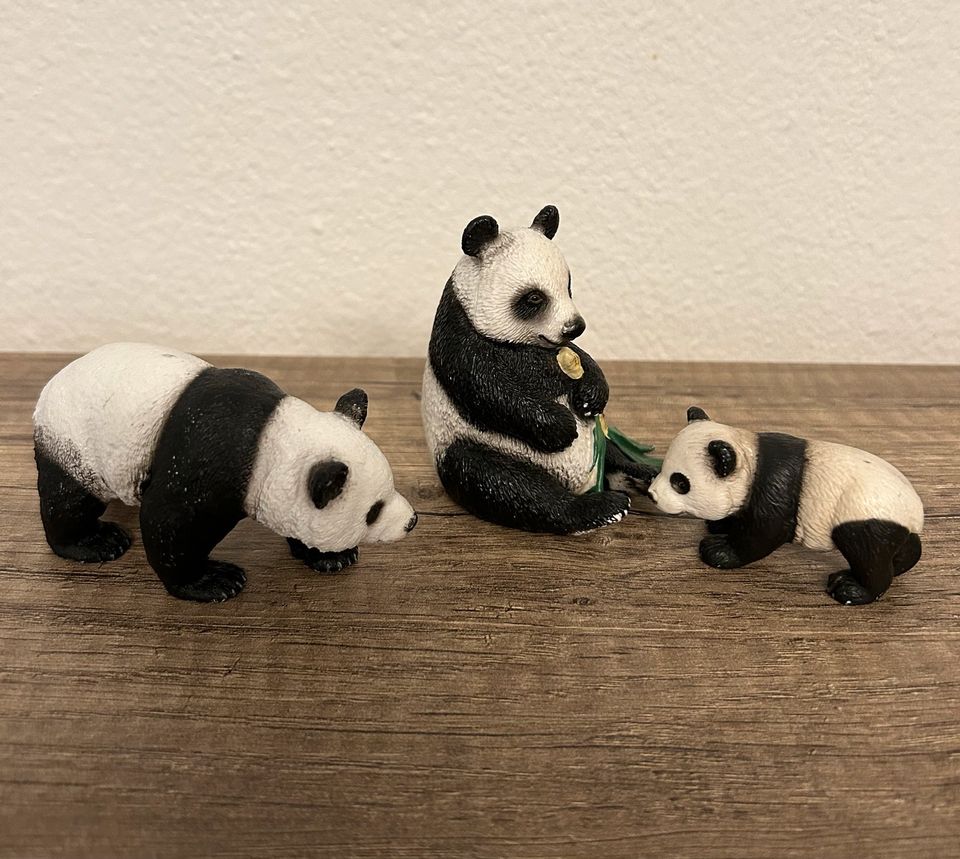 Schleich Tiere 3 Panda mit Bambus Jungtier Baby Familie in Rahden