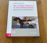 Die richtige Diagnose in der Kleintierpraxis Rijnberk/van Sluijs Niedersachsen - Oldenburg Vorschau