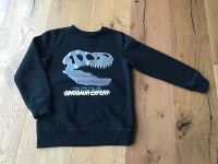 Pullover Gr. 128 Dino Dinosaurier schwarz dopodopo Sweatshirt Brandenburg - Neuruppin Vorschau