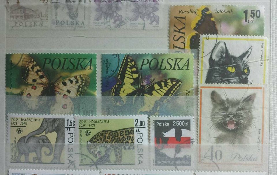 62. "BRIEFMARKEN" aus " POLSKA" "POLEN" in Langenfeld Eifel