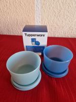Verkaufe ein Mini-Frische-Set OVP von Tupperware Schleswig-Holstein - Altenholz Vorschau