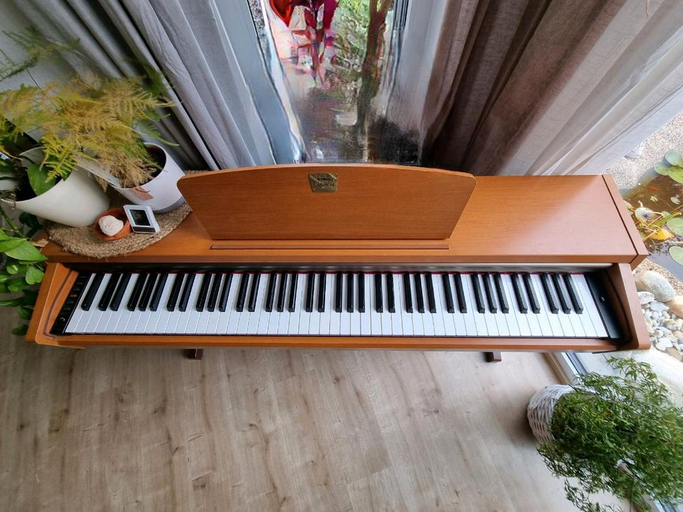 Elektro Klavier Piano in Gößweinstein