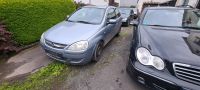 Schlachtfest Opel corsa c 1,2  Z163 160 000 km Westerwaldkreis - Ettinghausen Vorschau