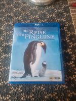 Film Die Reise der Pinguine Nordrhein-Westfalen - Spenge Vorschau