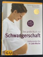 Das große Buch zur Schwangerschaft Sachbuch Ratgeber Mama Baby Hessen - Liederbach Vorschau