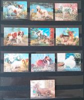 10 HUNDE Briefmarken Lot gut aus Sammlung Bayern - Regensburg Vorschau
