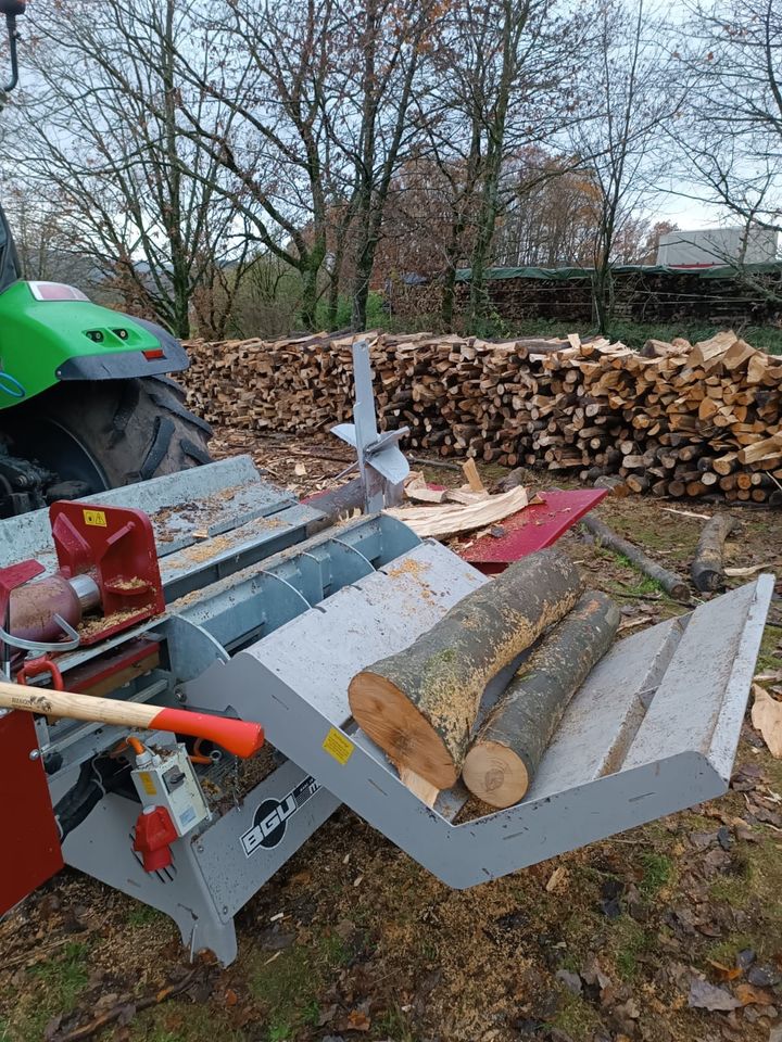 Lohnspalten   Brennholz      Forsttätigkeiten v. Odenwald in Schriesheim