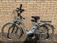 E-Bike Flyer Damen silber T 5 R Deluxe12 Ah XE219 231 Niedersachsen - Wildeshausen Vorschau