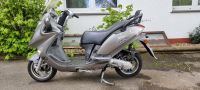 Piaggio Carnaby Peugeot Elystar Aprilia Mojito Kymco Grand Dink 5 Nordrhein-Westfalen - Werther (Westfalen) Vorschau