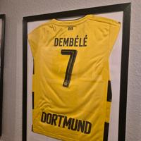 BVB Trikot Sachsen - Demitz-Thumitz Vorschau