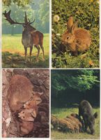 Set Ansichtskarten Wildtiere Bayern - Bad Neustadt a.d. Saale Vorschau