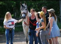 TEAM STÄRKEN  | Teambuilding / Tage mit Pferden Berlin Pankow - Prenzlauer Berg Vorschau