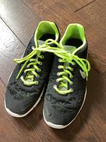 Nike Turnschuhe Hallenschuhe Gr. 41 schwarz Nordrhein-Westfalen - Rietberg Vorschau