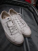 Convers Freizeitschuhe Gr.37 Baden-Württemberg - Aulendorf Vorschau