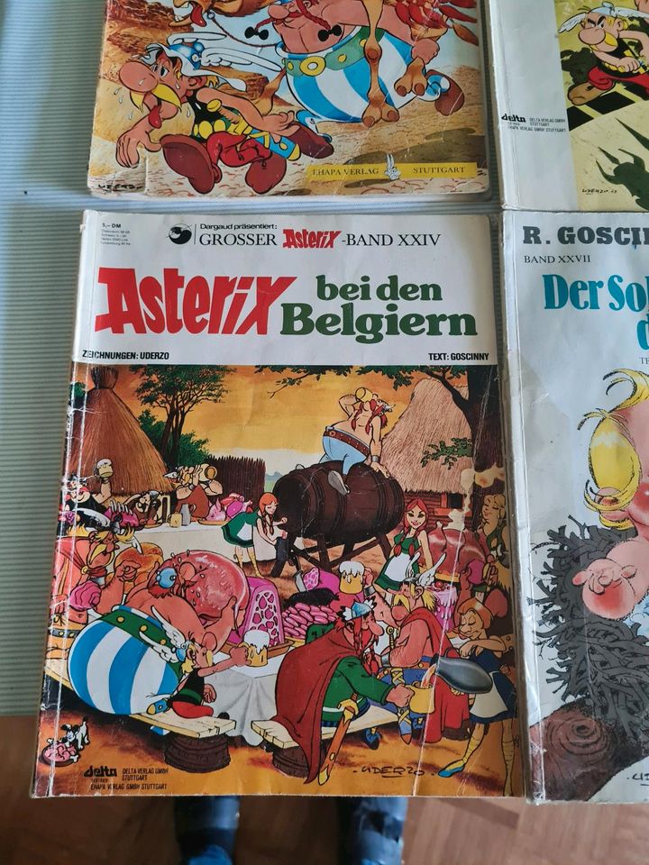 Asterix  Hefte/ Bücher in Osnabrück