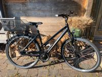 Trekking Fahrrad Damen - Steppenwolf Transterra - City bike Bayern - Irschenberg Vorschau