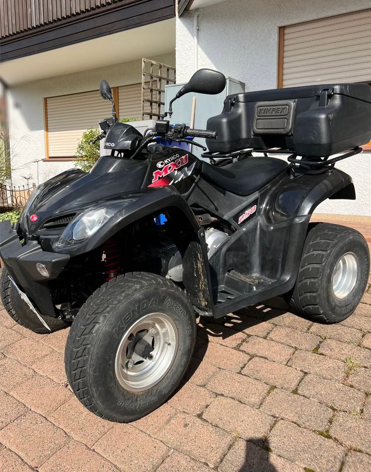 Kymco Quad MXU 250 mit Heckkoffer in Aschaffenburg