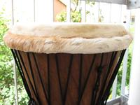 Original Kambala Djembe Nürnberg (Mittelfr) - Mitte Vorschau