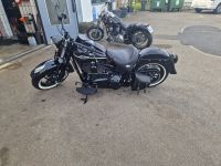 Springer Softail Harley Davidson Hessen - Biblis Vorschau