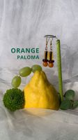Orange Paloma Ohrringe aus bunten Perlen Y2k Vintage Niedersachsen - Braunschweig Vorschau