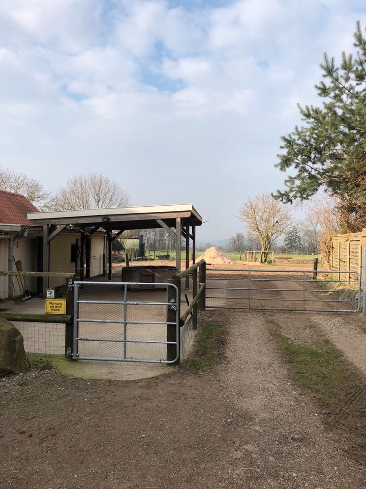 Offenstall-Platz mit Vollpension in Strenglin frei in Pronstorf