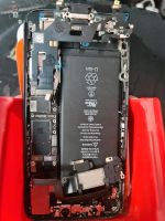 iPhone 6 7 8 11 12 13 14 sofort reparieren Bayern - Obernburg Vorschau