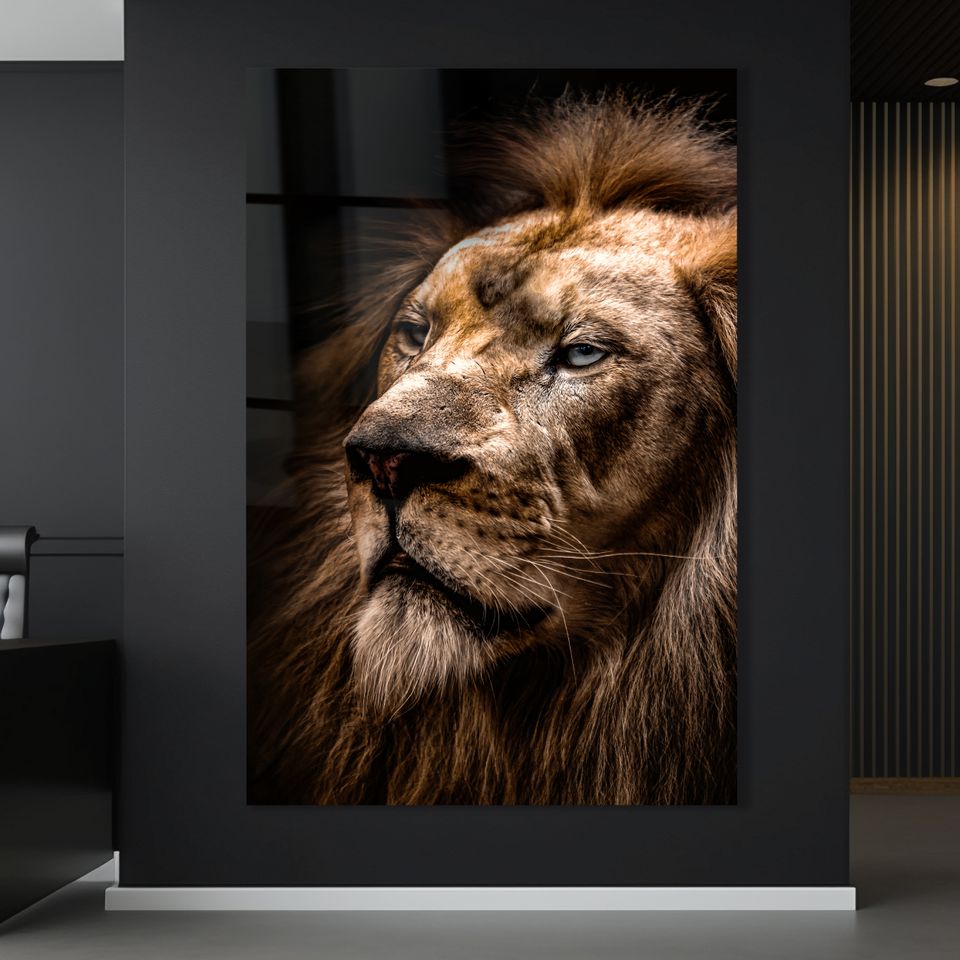 Boss Löwe - Lion Premium Wandbild, Acrylglas Poster Leinwand Deko in Stuttgart