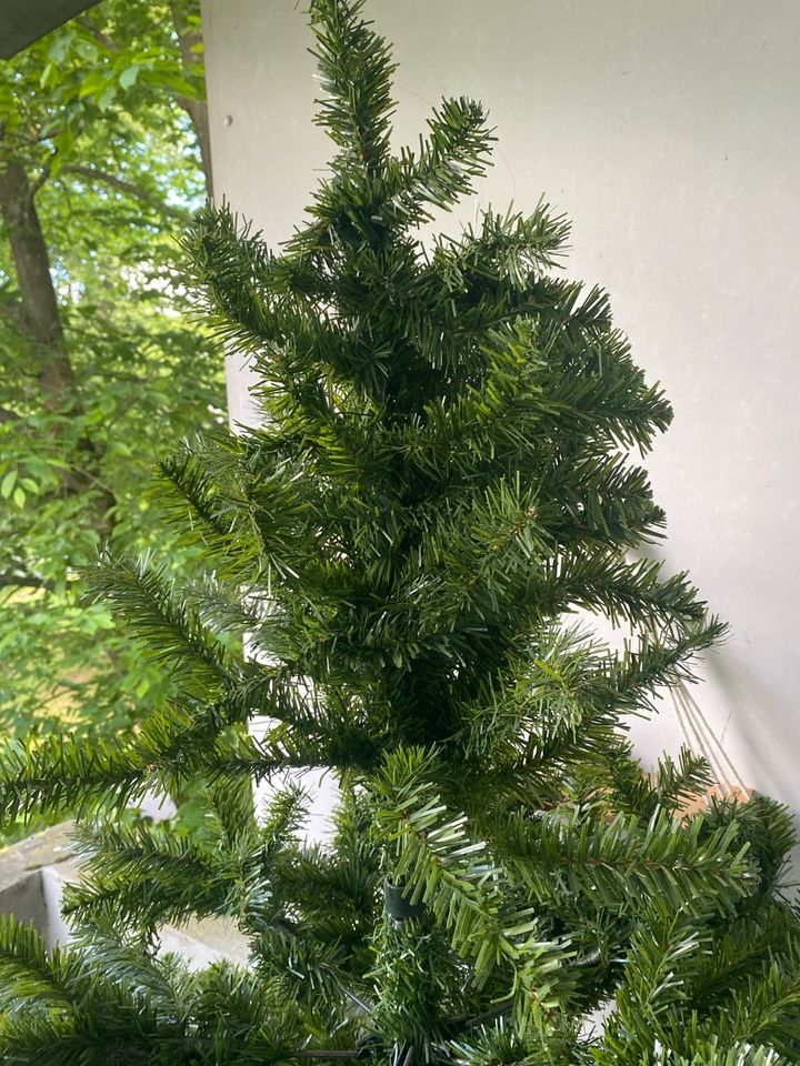 Weihnachtsbaum in Marburg