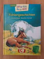 Buch Fohlengeschichten 2. Lesestufe Baden-Württemberg - Aidlingen Vorschau