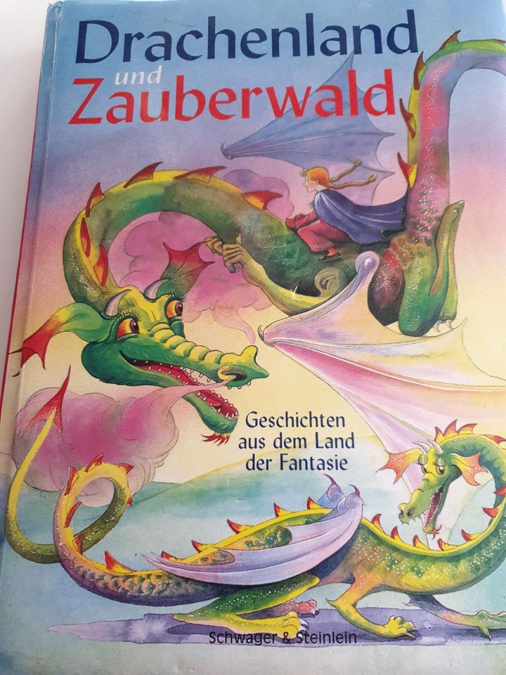 Drachenland und Zauberwald Buch Kinder in Kiel