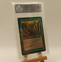 Sylvan Safekeeper Foil - PGS 8 - PSA/CGC/BGS Magic the Gathering Baden-Württemberg - Oftersheim Vorschau