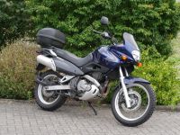 Suzuki XF650 Freewind Hessen - Melsungen Vorschau