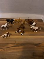 Schleich Sammlung Fohlen Hessen - Calden Vorschau