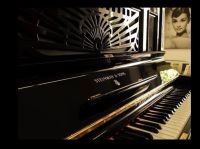 TITANIC KLAVIER STEINWAY MODELL R 138 Nordrhein-Westfalen - Gütersloh Vorschau