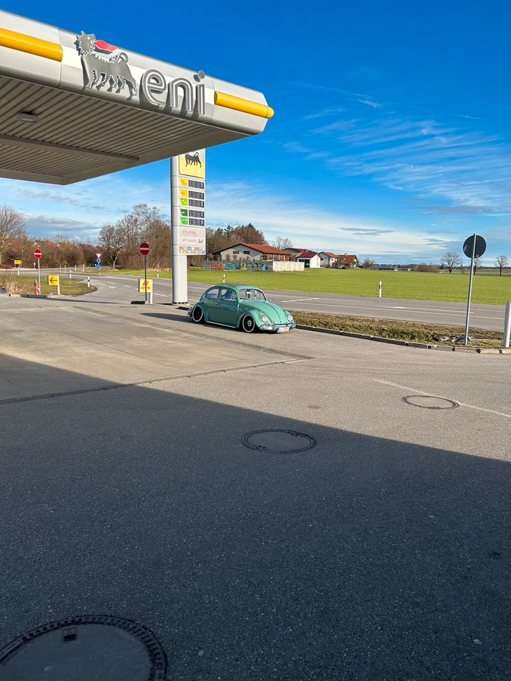 —-Suche VW Käfer(Dickholmer)—- in Egling a.d. Paar