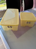 Tupperware Prima Klima Box Hessen - Bruchköbel Vorschau