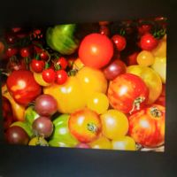 Achtung ab sofort alle Tomatenpflanzen für 1€ Bad Doberan - Landkreis - Tessin Vorschau