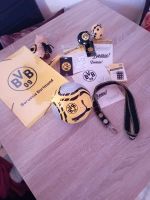 BVB Fan Set Sachsen - Glauchau Vorschau