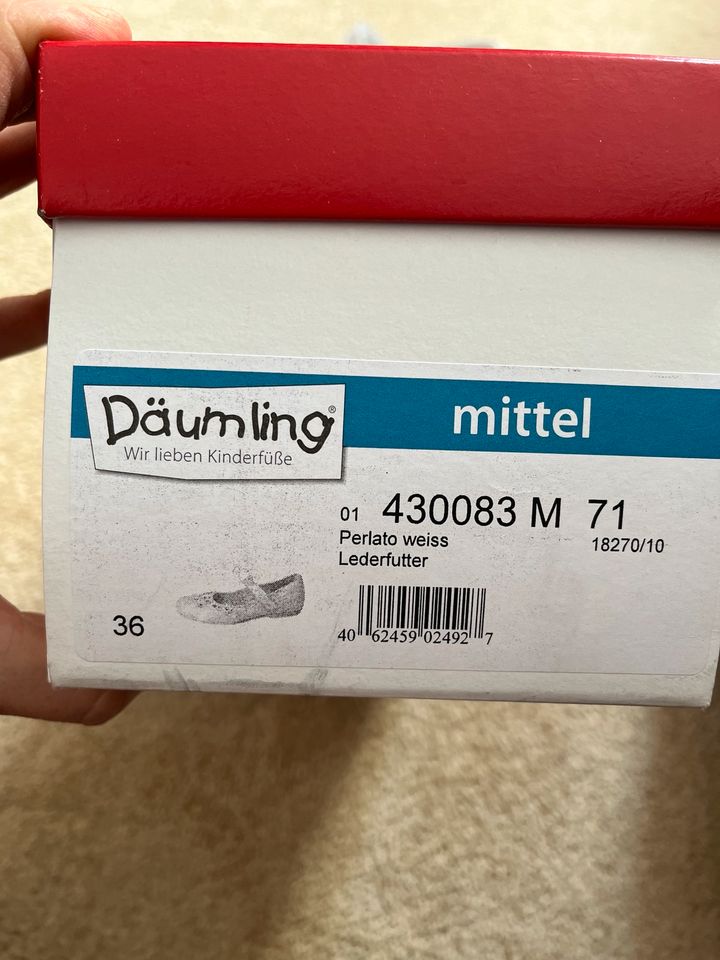 Kommunionschuh von Däumling in Monreal